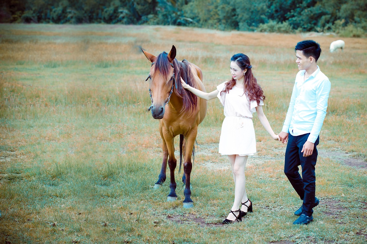 wedding photo viet, wedding photo, older brother, image, vietnam, nature
