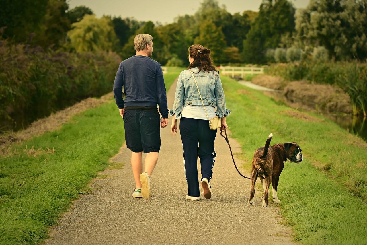 couple, love, outdoors, walking, pair, dog, animal, mammal, canine, pet, nature, man, male, boy, woman, female, girl, romance, relationship, together, joy, happiness